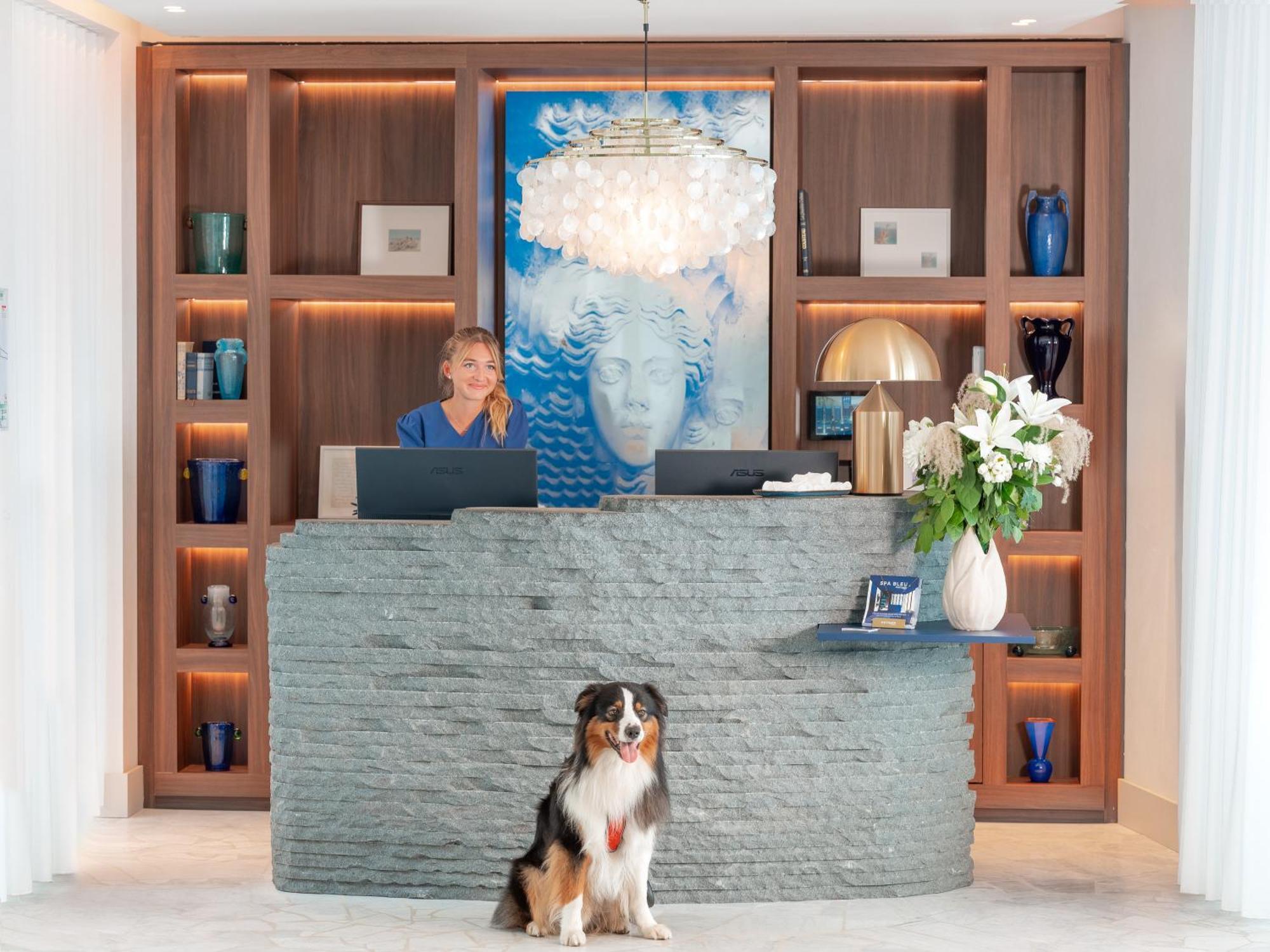 Bleu Hotel & Spa كاري-لو-رويه المظهر الخارجي الصورة